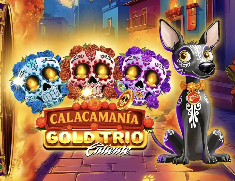 Gold Trio: Calacamania
